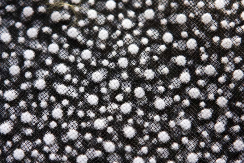 Flocking on Tulle3