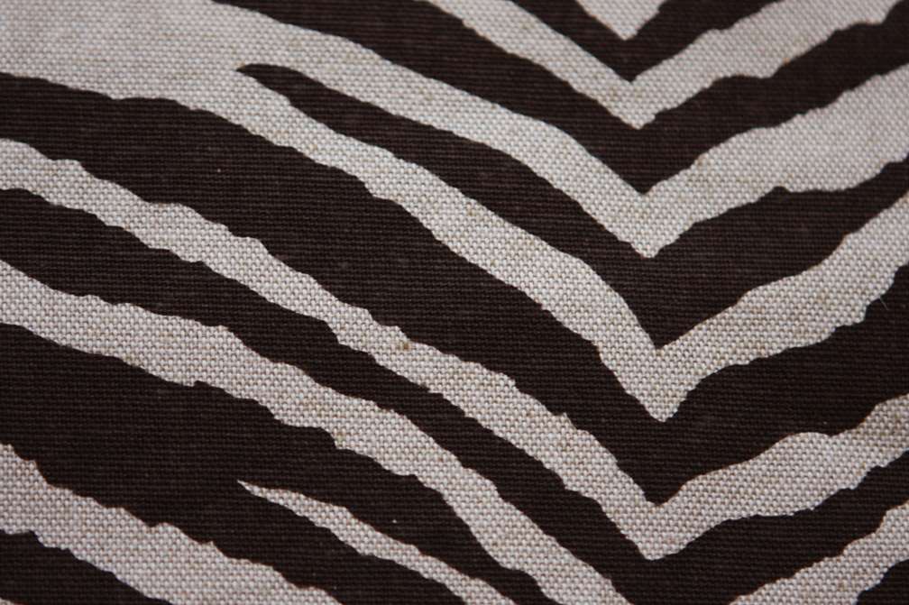 Printed Cotton Rayon Canvas2