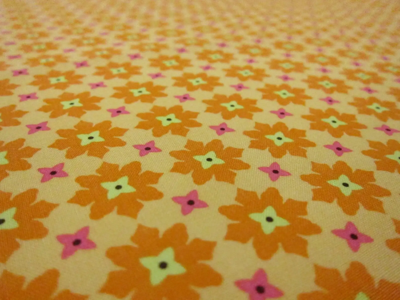 Cotton Broadcloth Print2