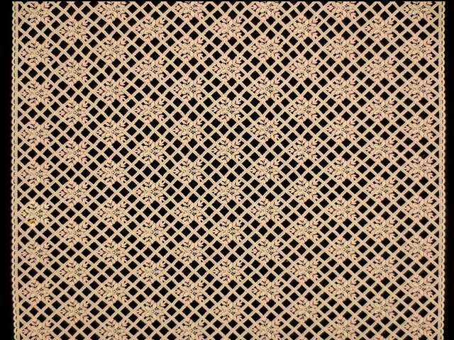 Guipure Lace3