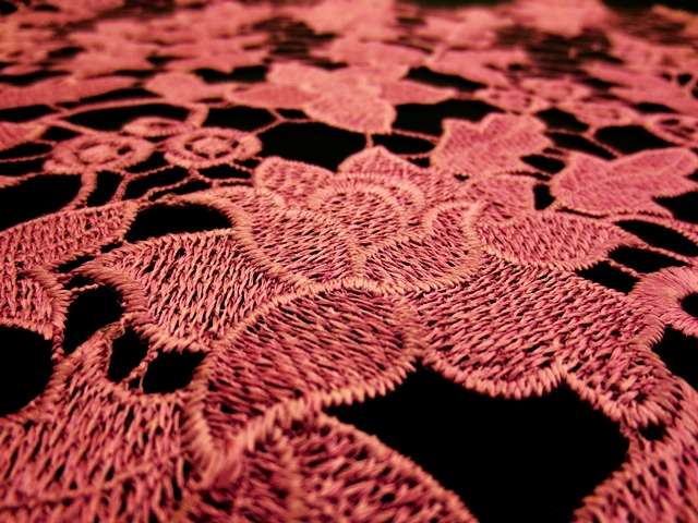 Guipure Lace2
