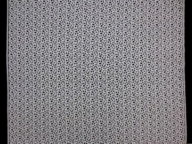 Guipure Lace3
