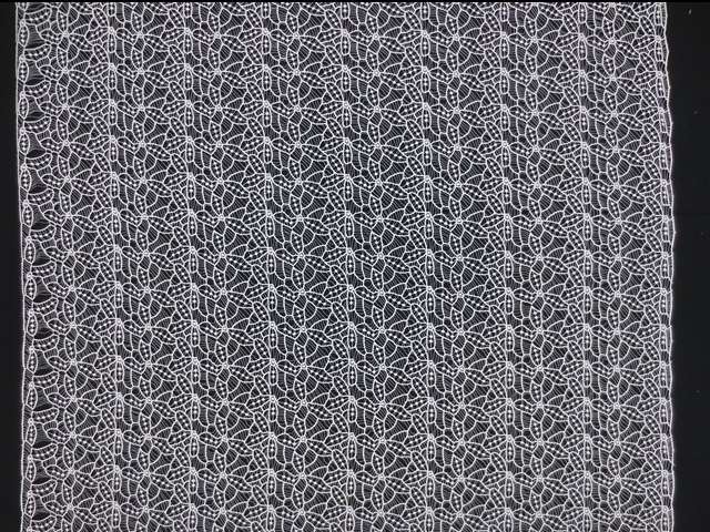 Guipure Lace3