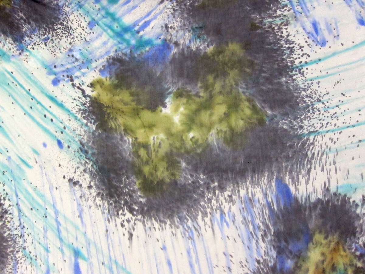 Printed Silk Chiffon0