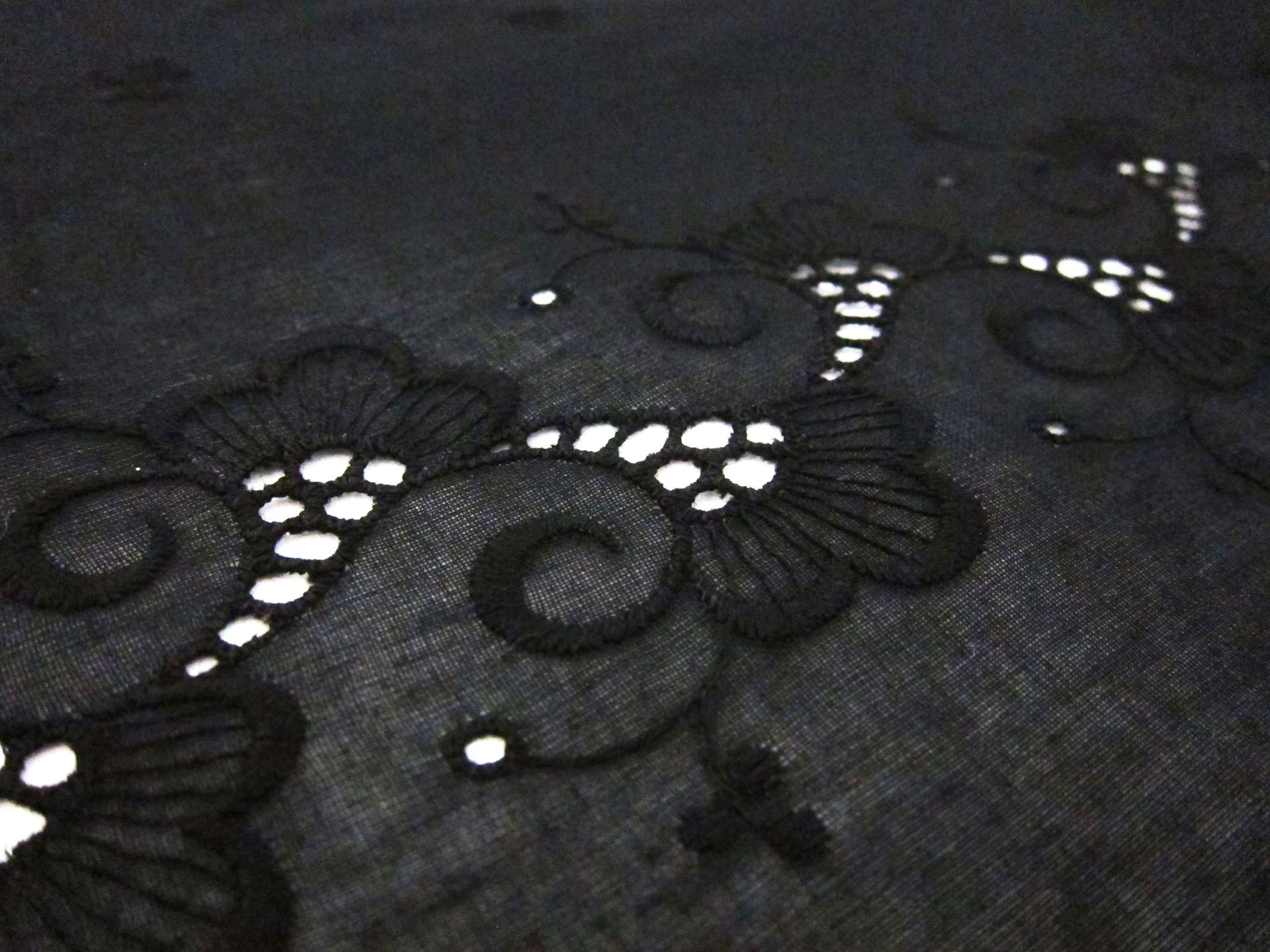 Embroidered Cotton Voile Eyelet3