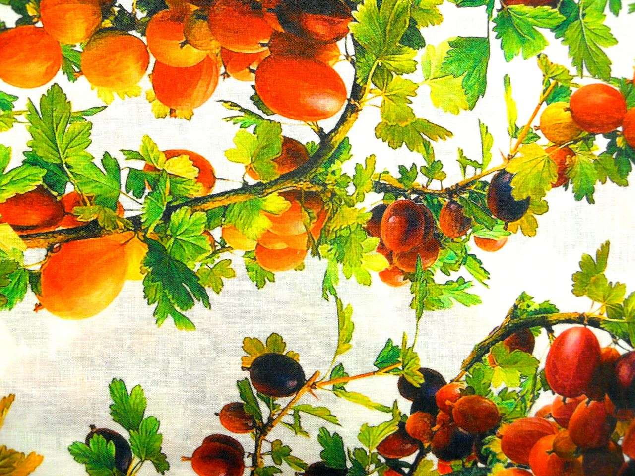 Linen Print0