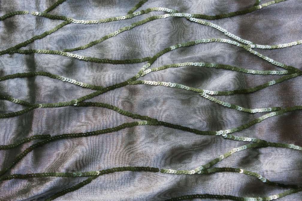 Sequins on Metallic Organza0
