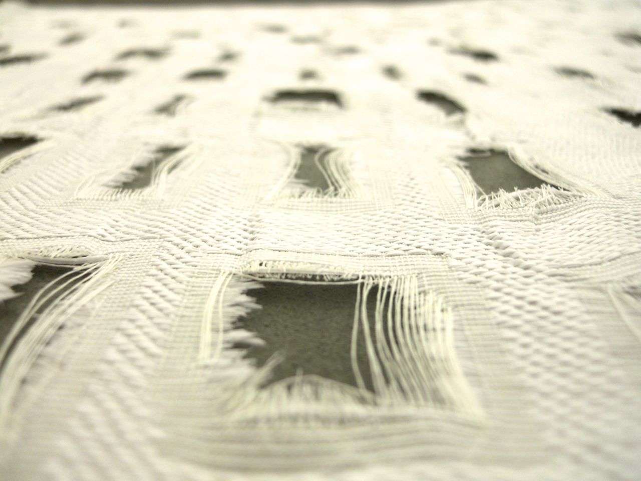 Cut Out Silk Gazar2