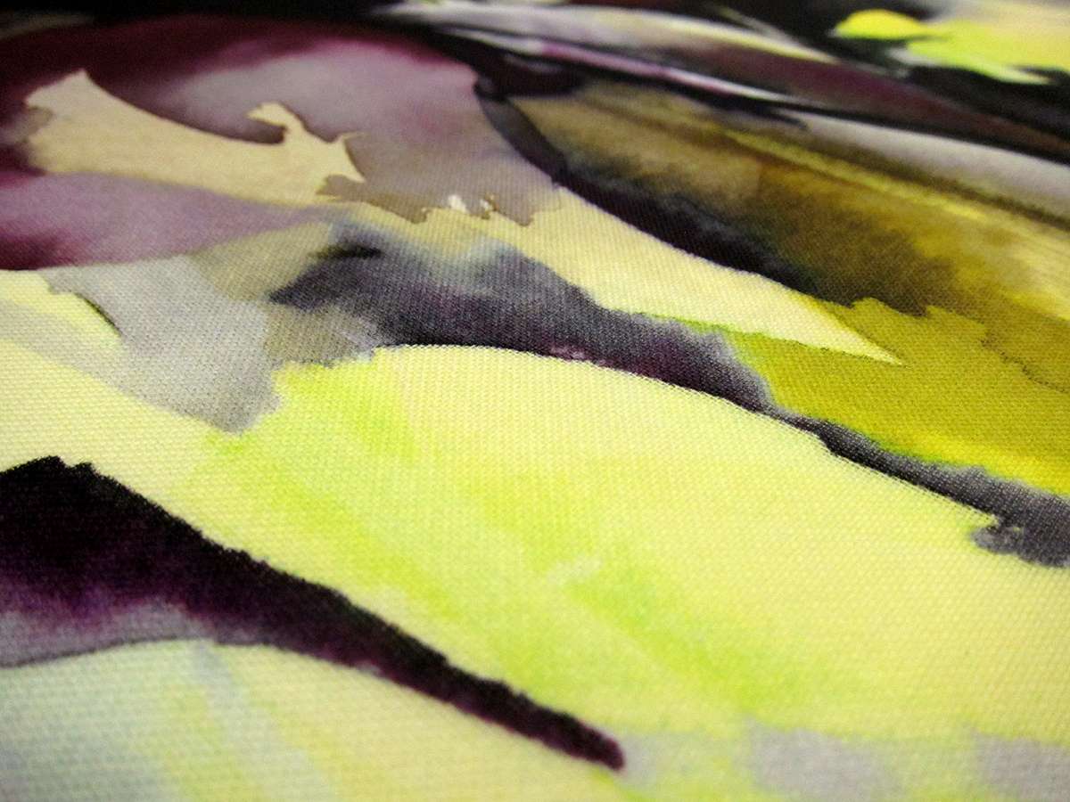 Printed Silk Gazar1
