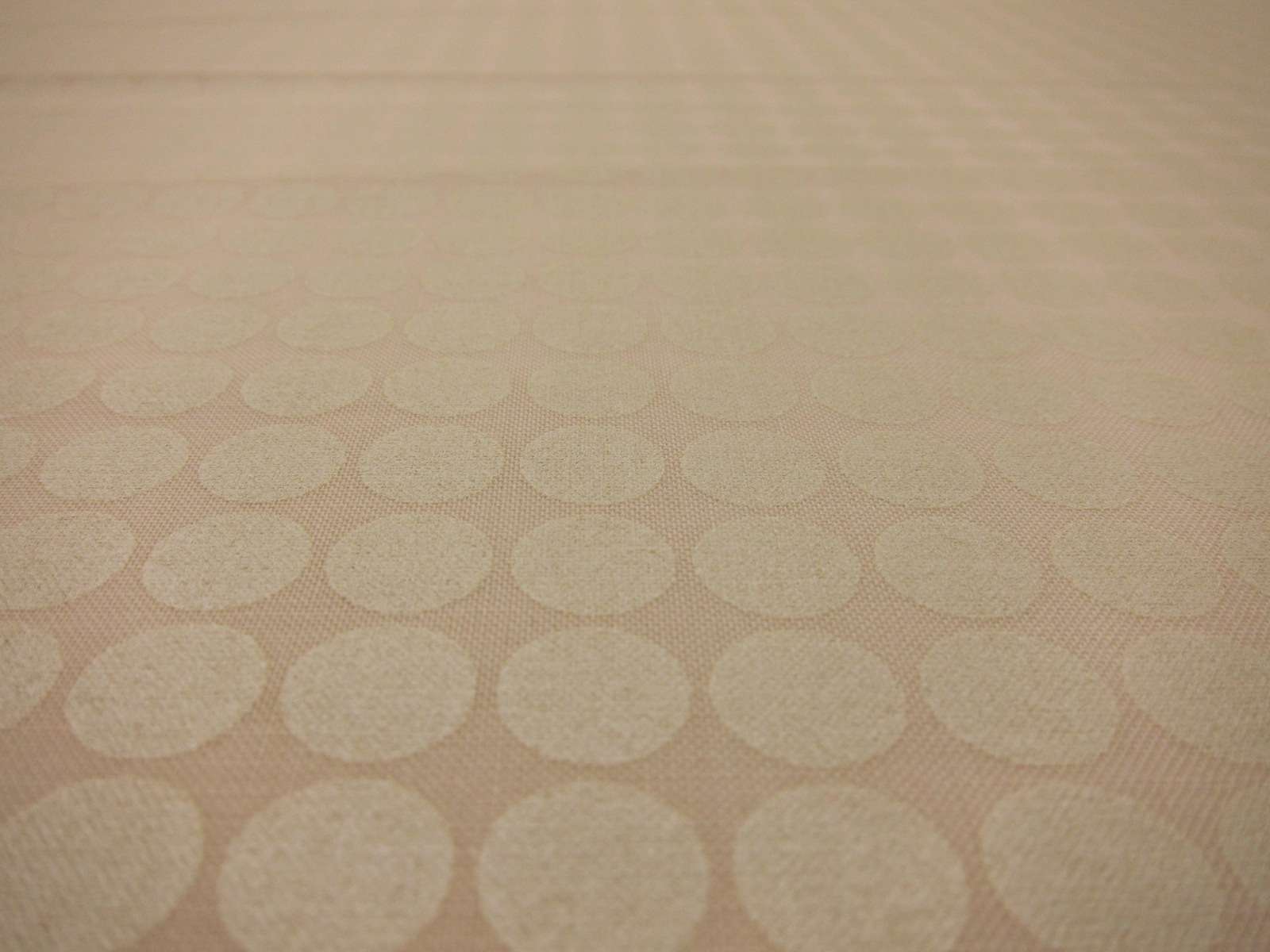 Cotton Broadcloth Print2