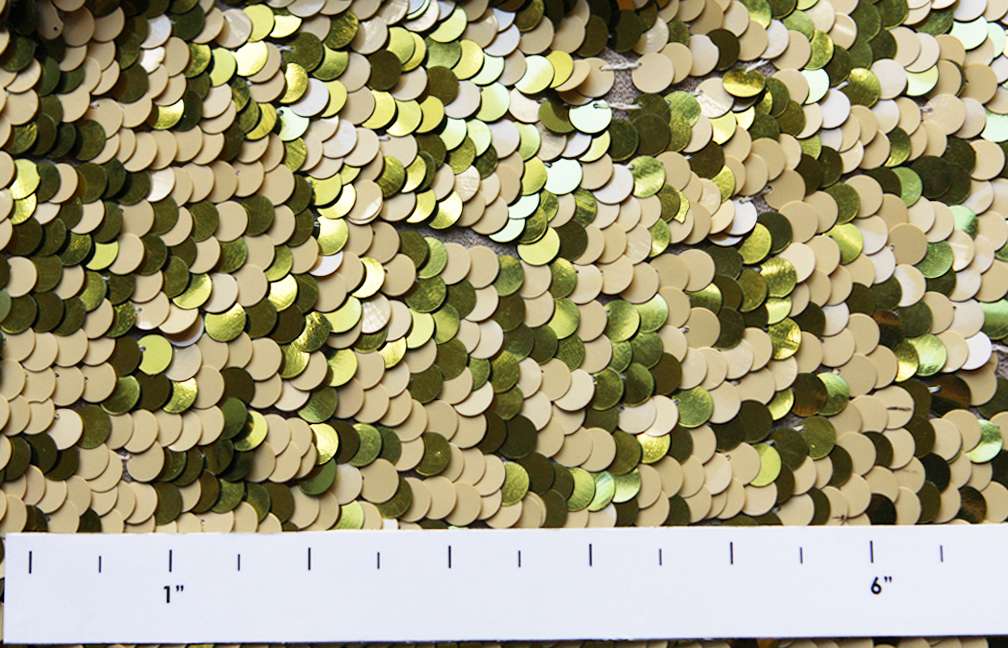 Paillettes on Silk Chiffon2