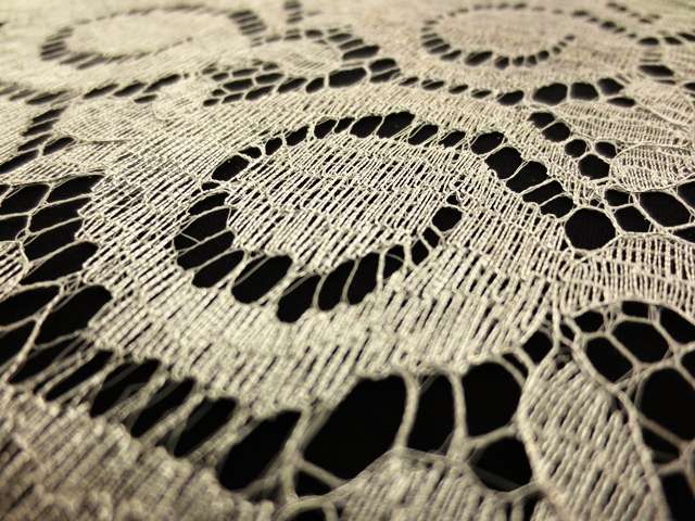 Metallic Chantilly Lace2