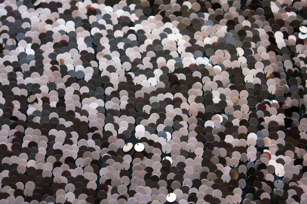 Paillettes on Silk Chiffon0