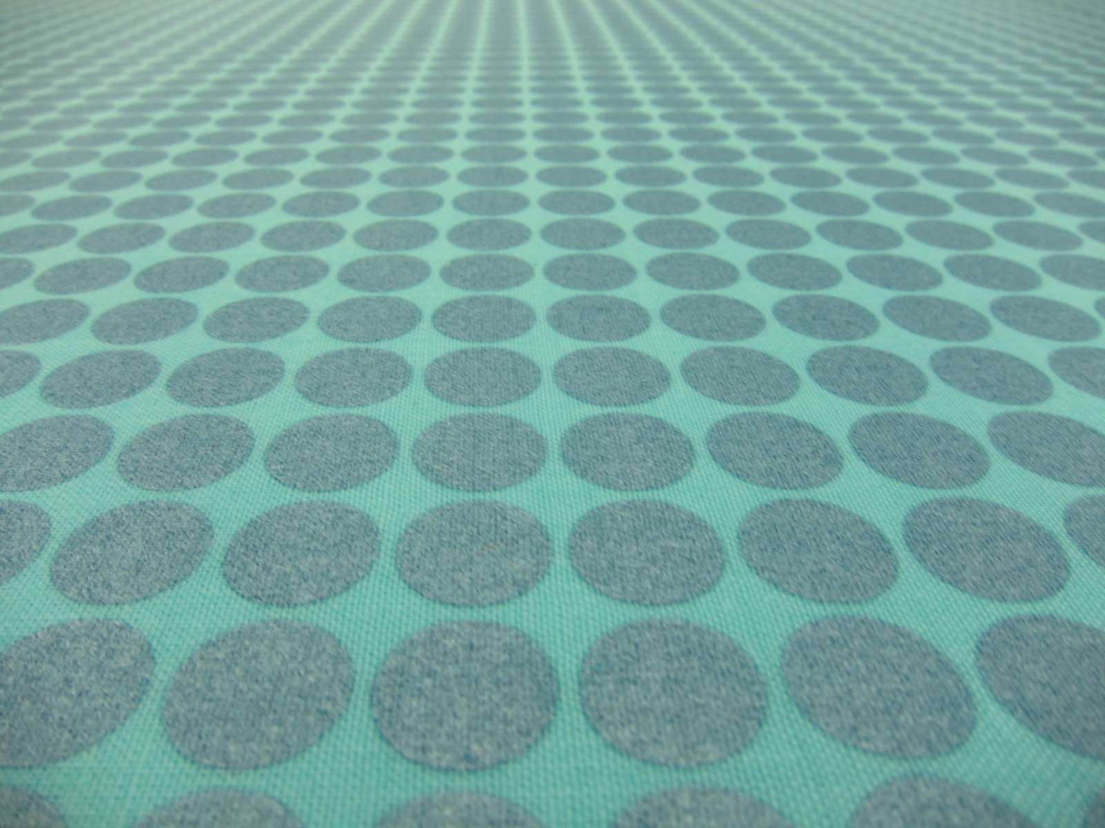 Cotton Broadcloth Print2