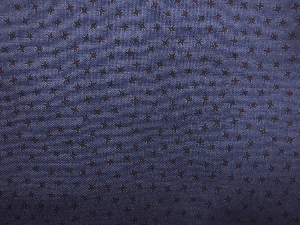Cotton Broadcloth Print0