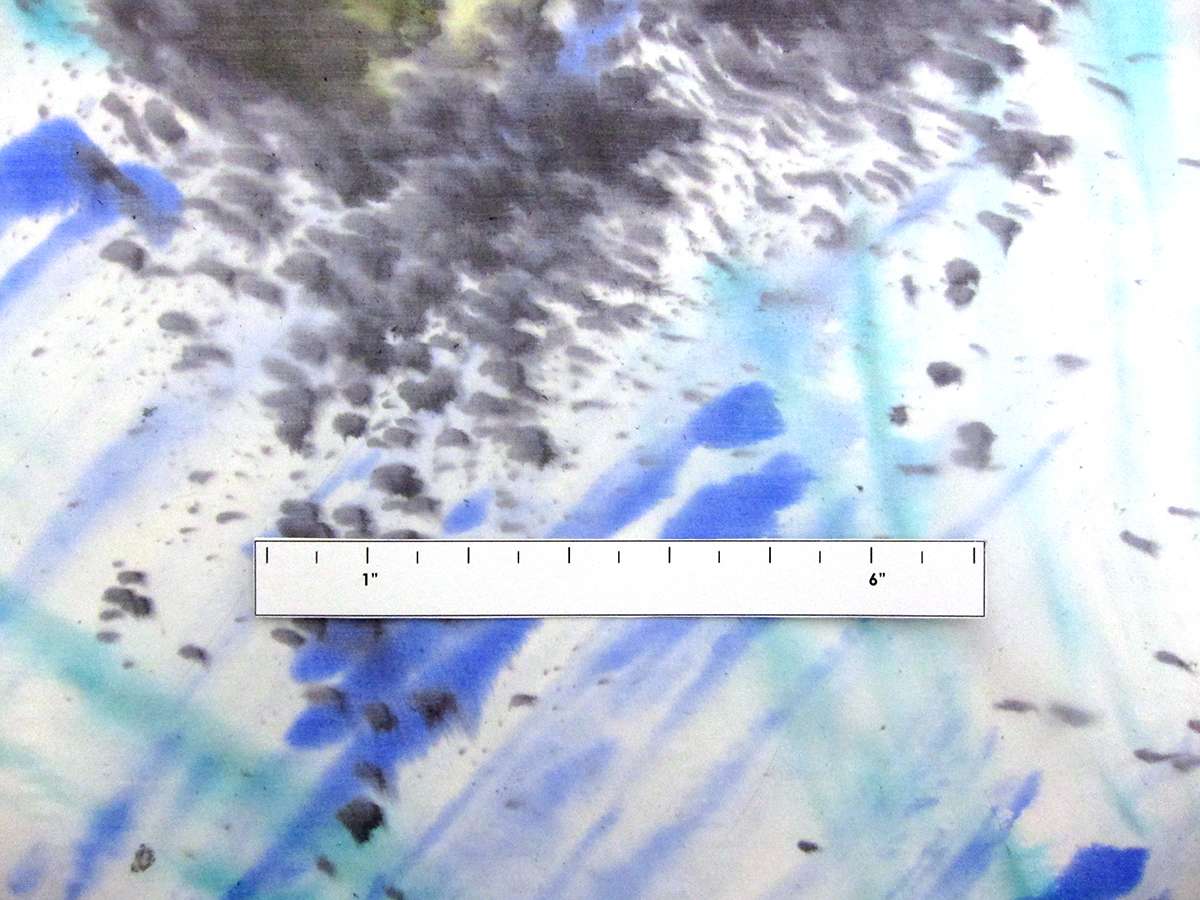 Printed Silk Chiffon2