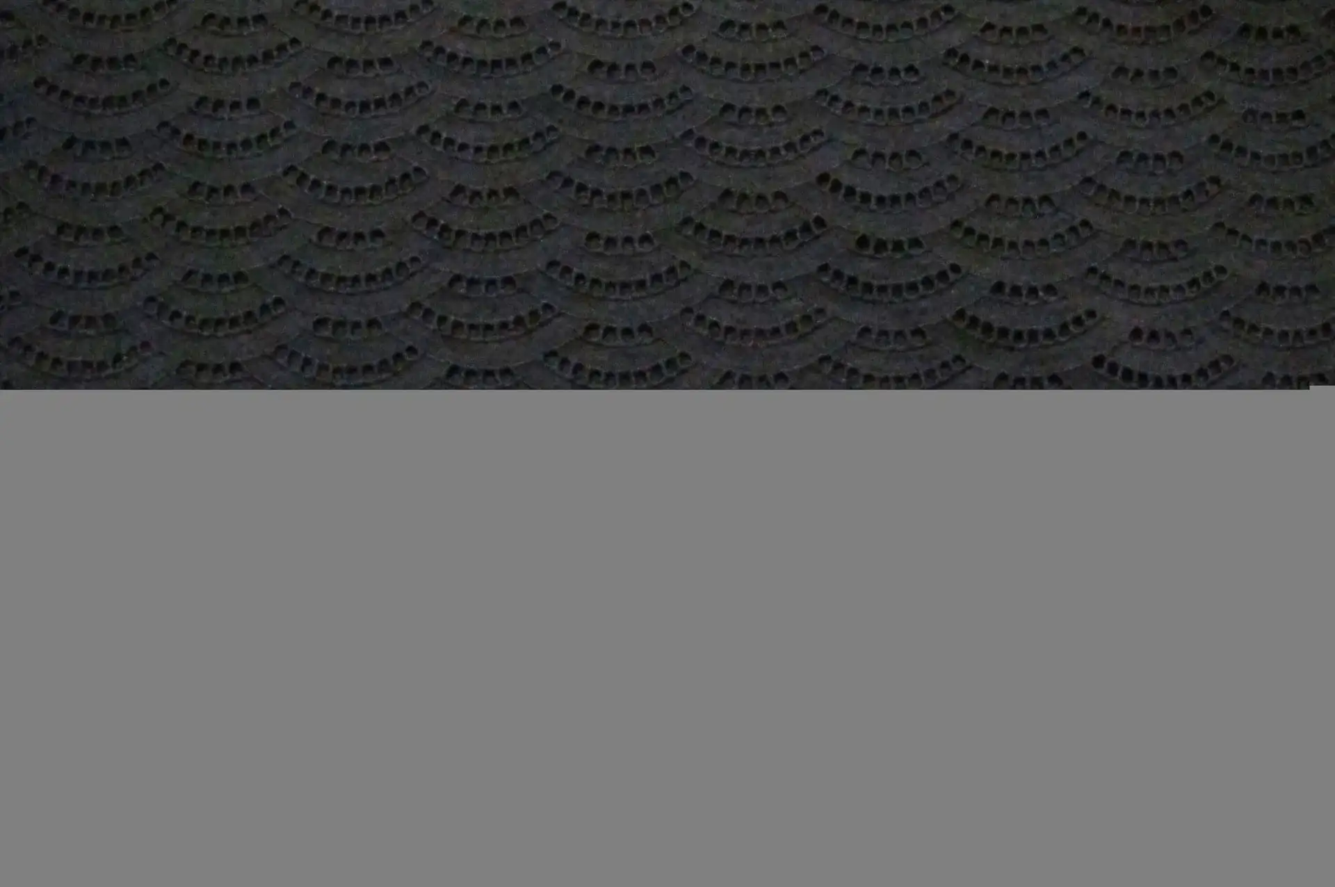 Cotton Eyelet in Black0