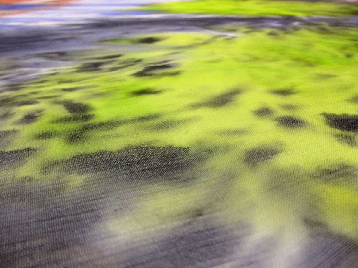 Printed Silk Chiffon1