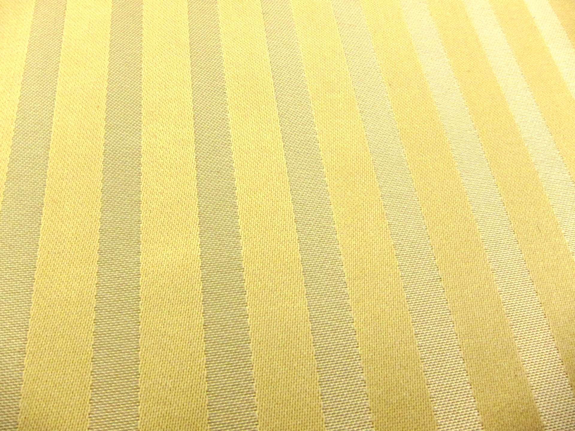 Silk Stripe Brocade2