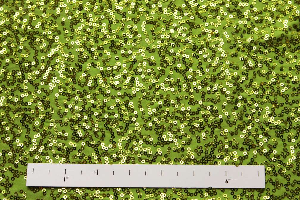 Sequined Jersey1