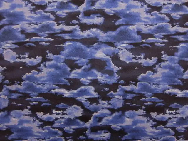 Cotton Broadcloth Print0