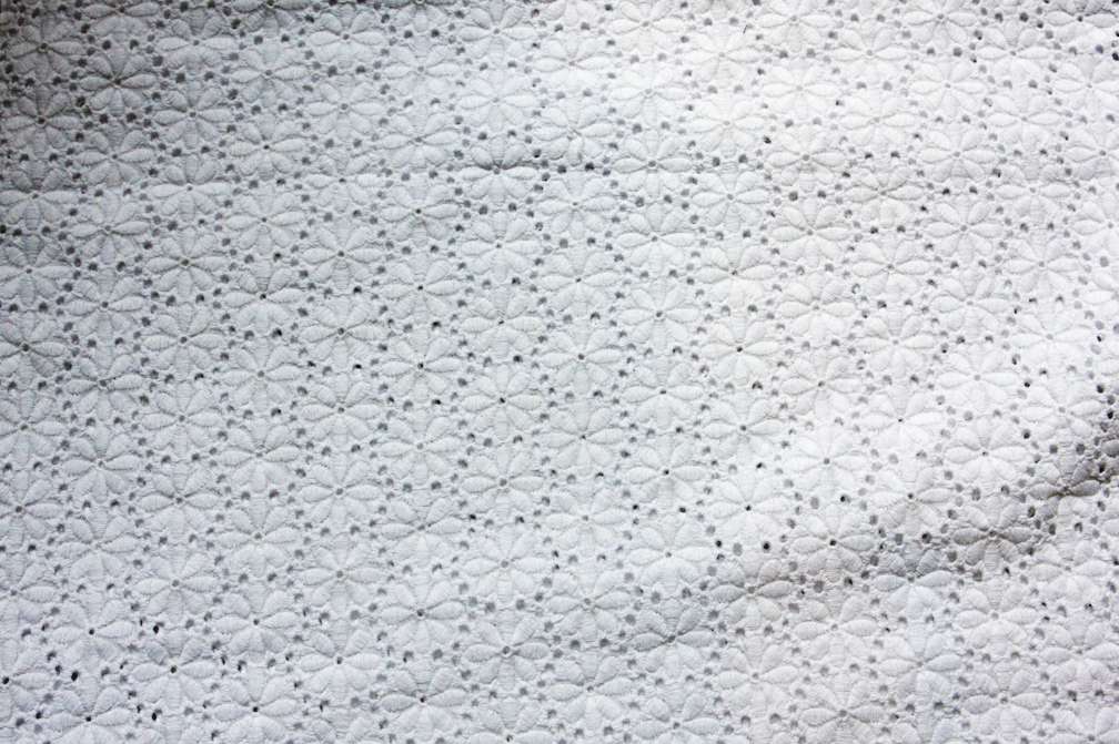 Cotton Eyelet2