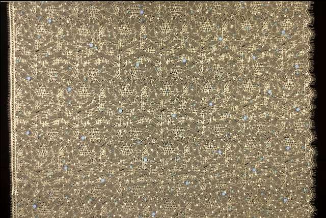 Beaded Metallic Chantilly Lace3