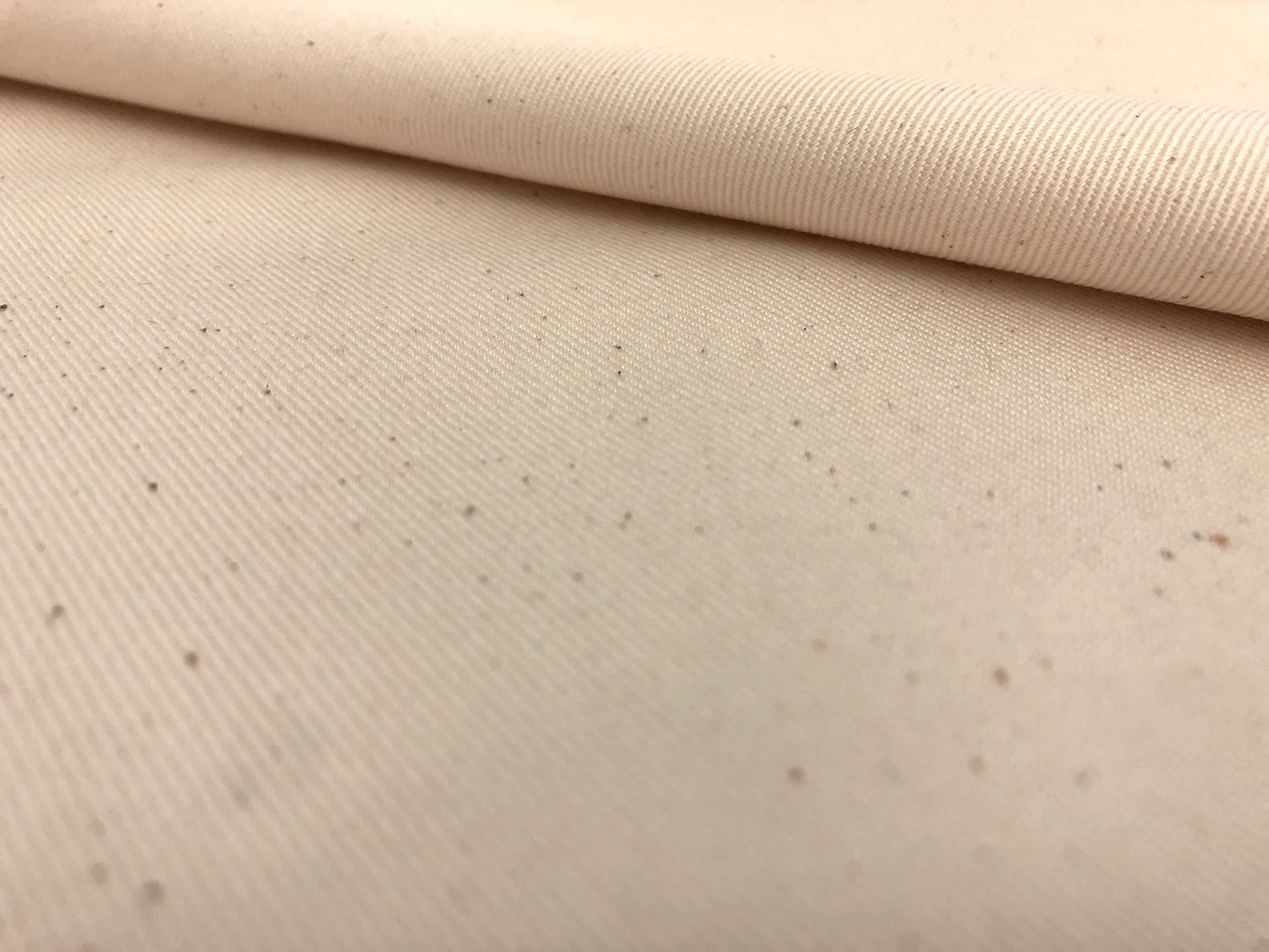Cotton Chino Twill in Natural 