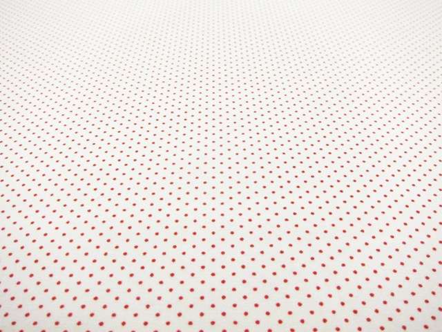 Japanese Cotton Broadcloth Print2