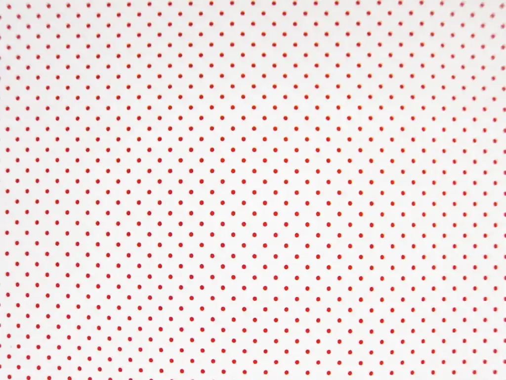Cotton Broadcloth Print0