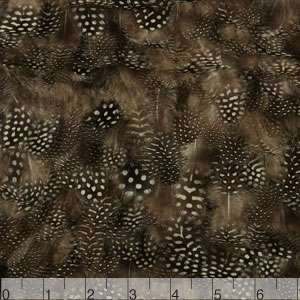 Feathers on Chiffon0