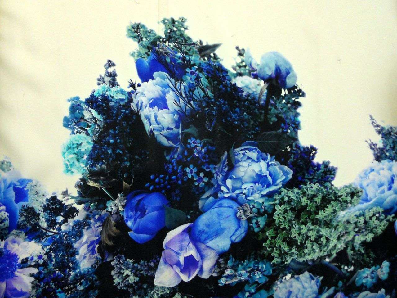 Printed Silk Gazar0