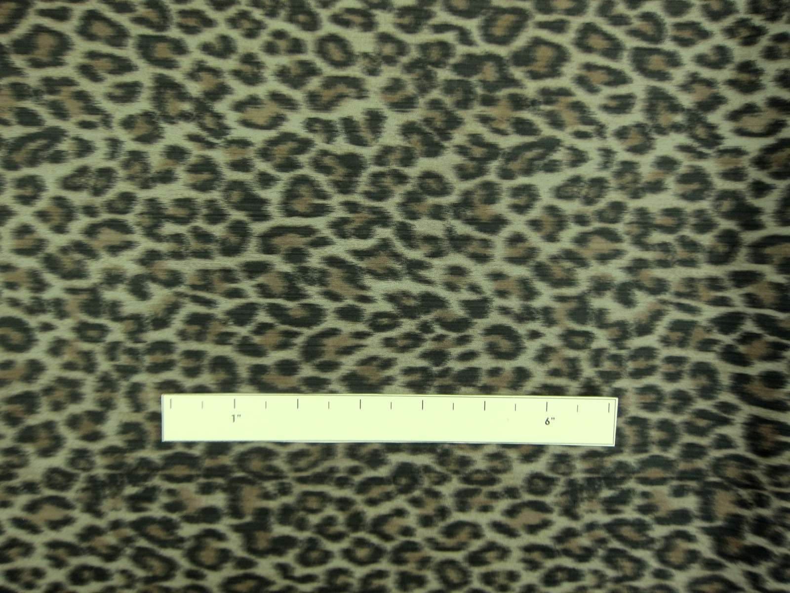 Warp Printed Taffeta0