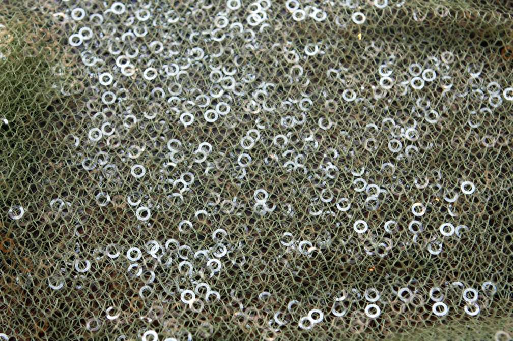 Novelty Sequins on Mesh0