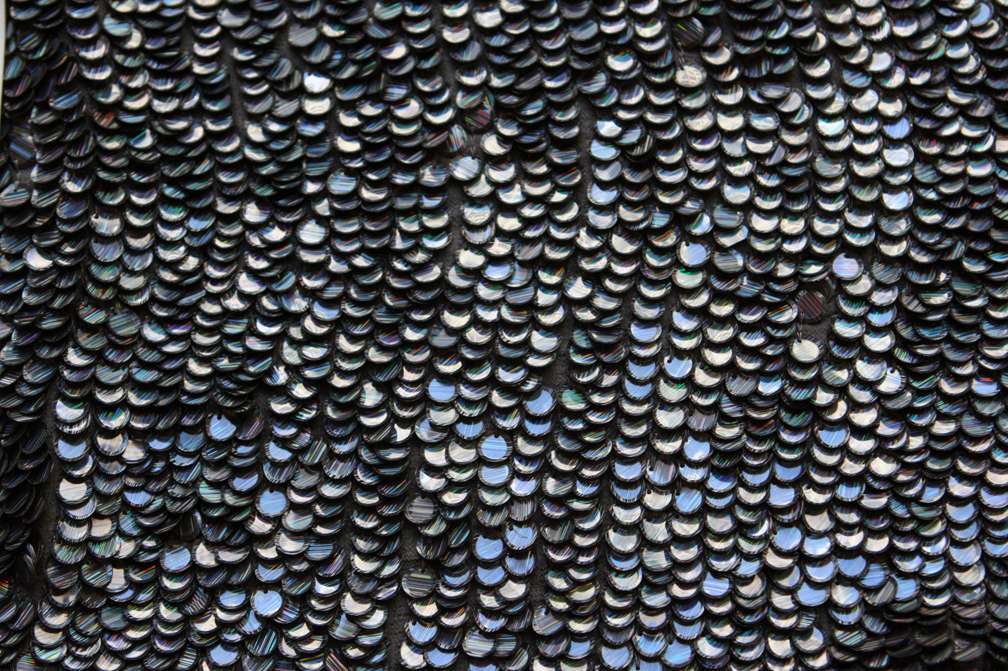 Paillettes on Silk Chiffon1