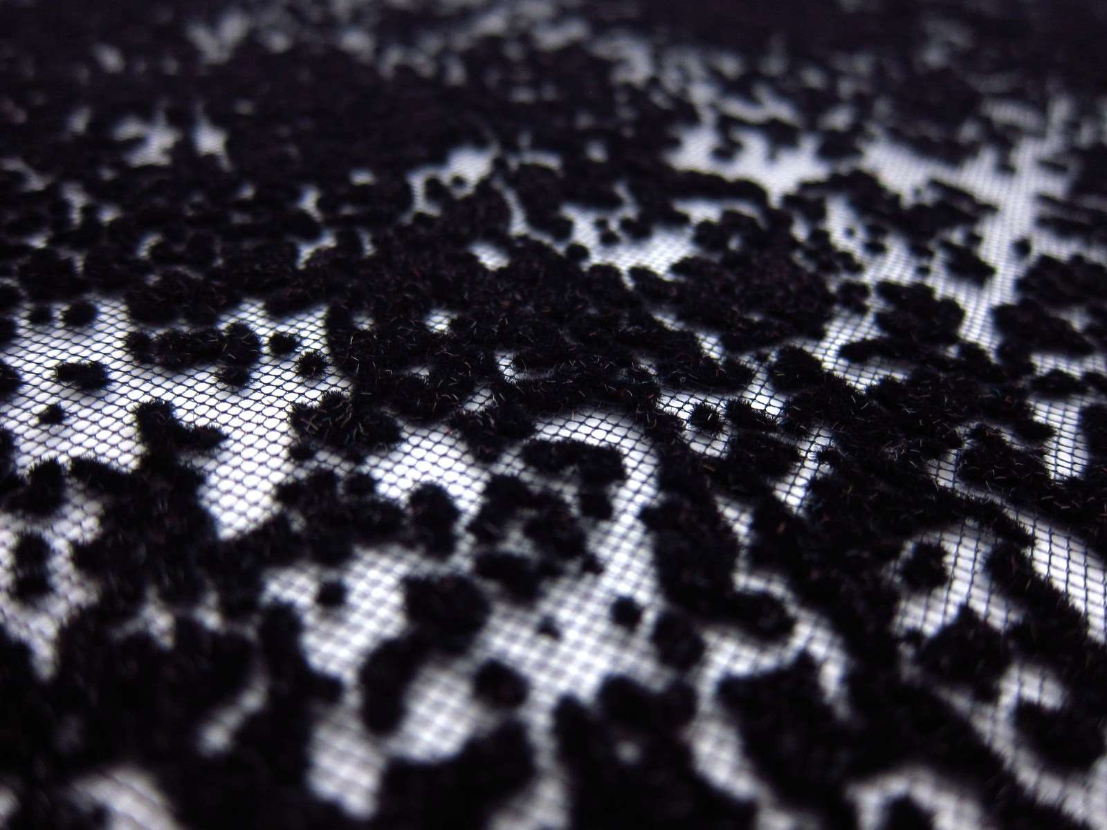 Flocked Tulle (in Black)2