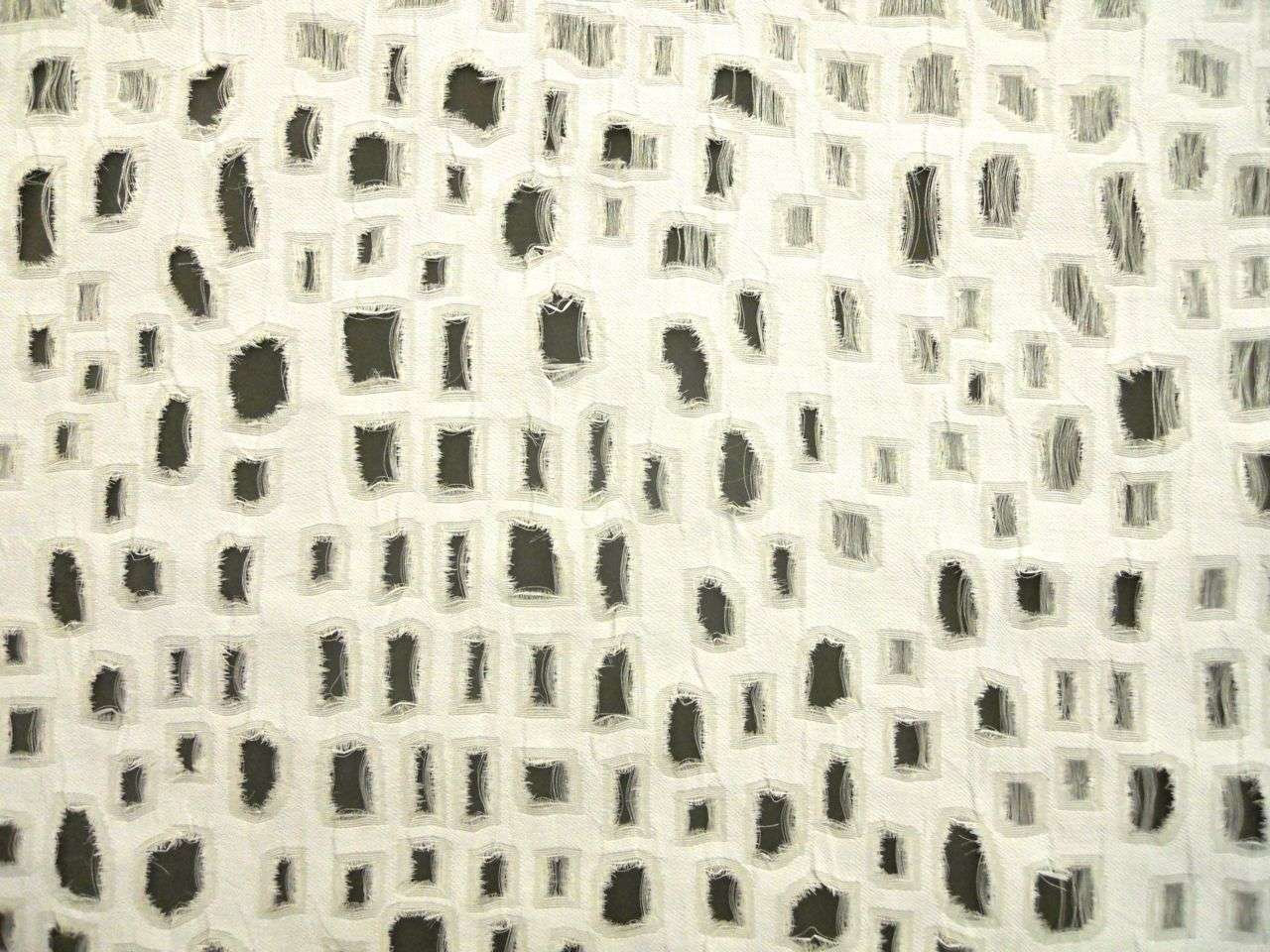 Cut Out Silk Gazar0