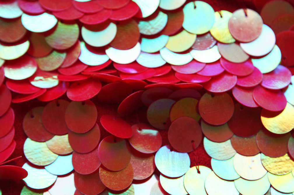 Novelty Pailettes on Silk Chiffon3