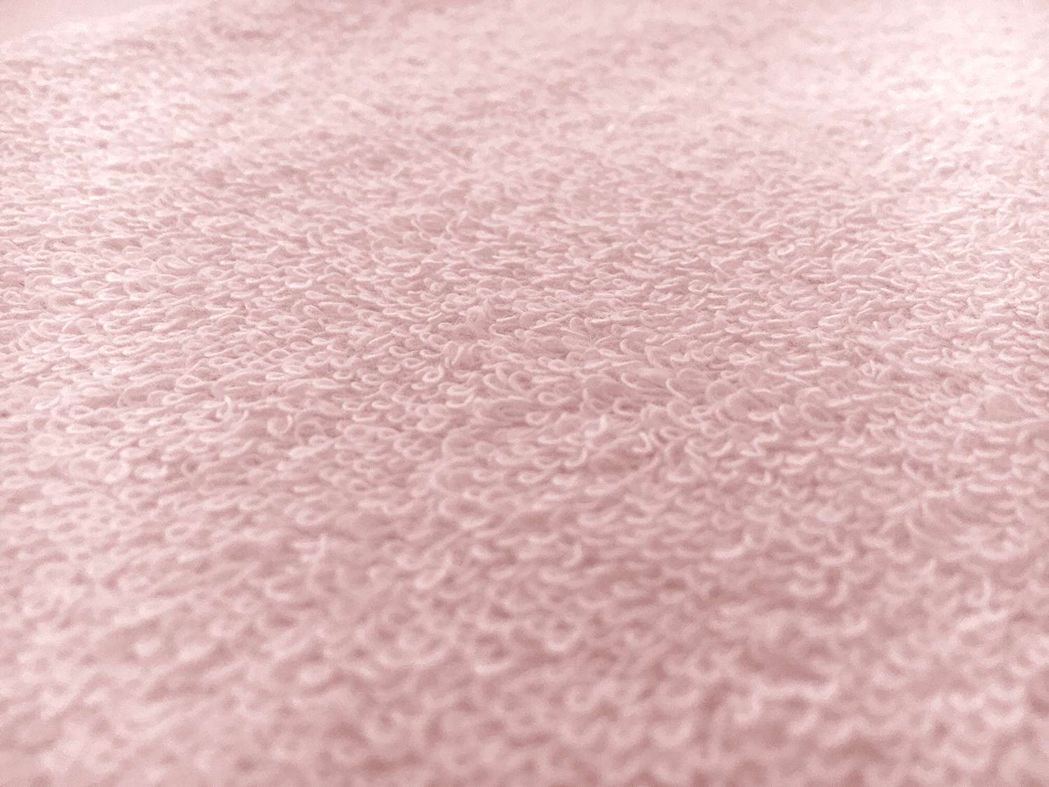 Cotton Terry Velour in Pink3