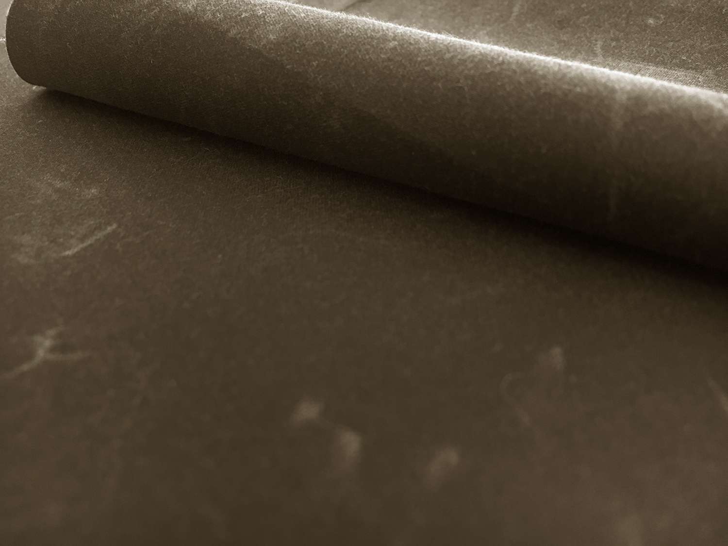 Cotton Wax Cloth in Olive0