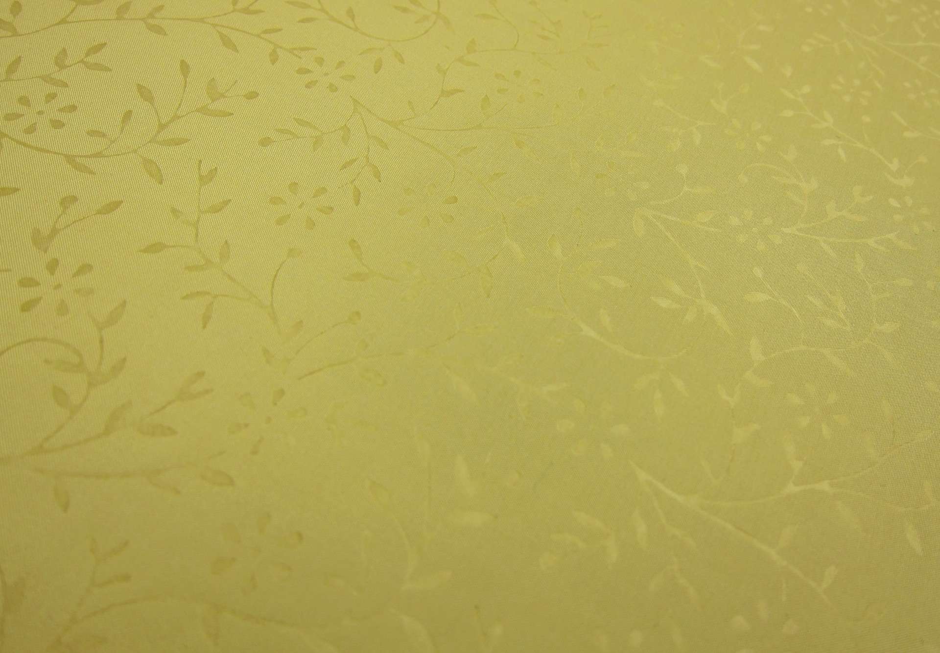 Silk Taffeta Jacquard1