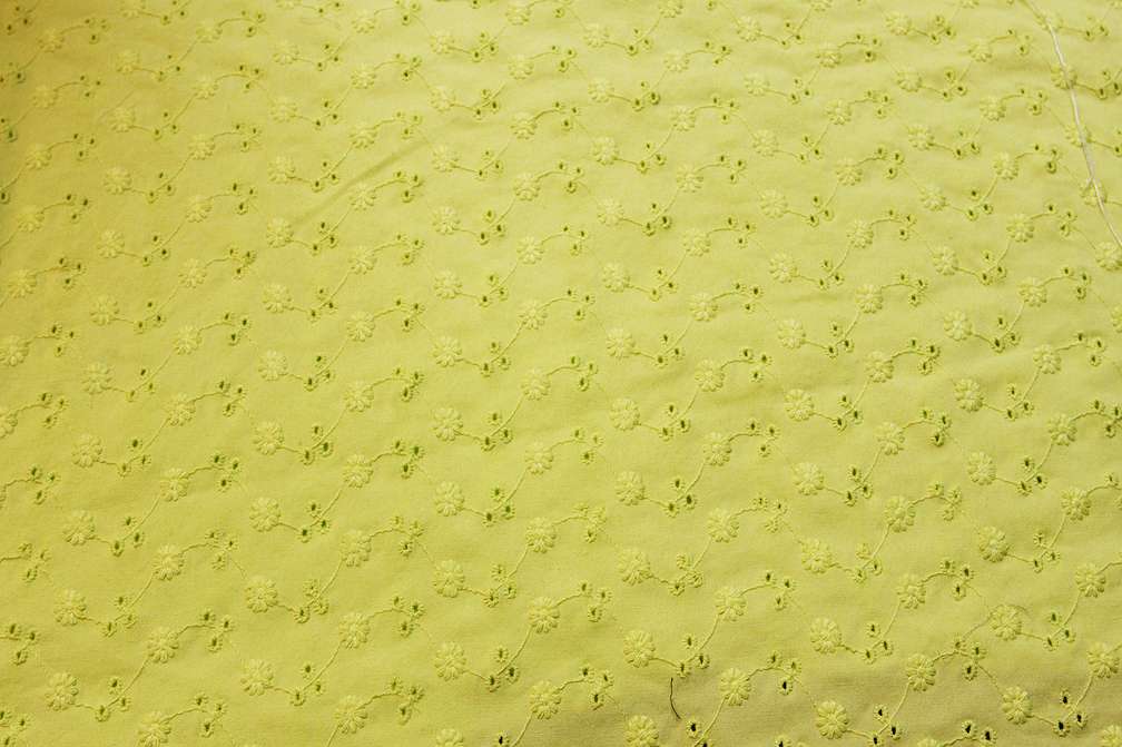 Cotton Lycra Embroidery Eyelet in Chartreuse1