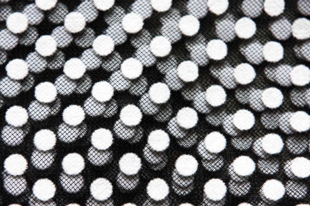 Flocking on Tulle2
