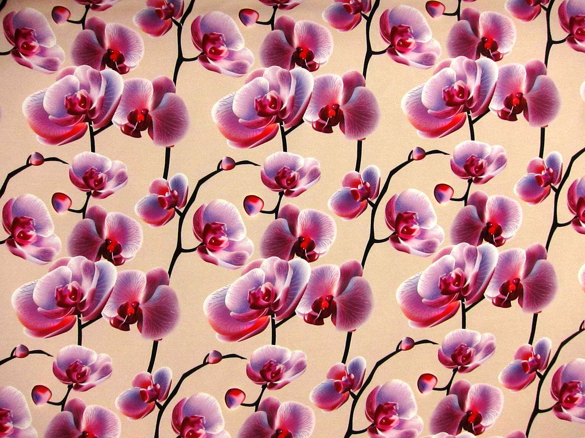 Printed 2Ply Silk Crepe0
