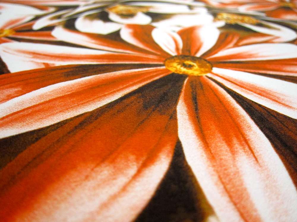 Printed Silk Charmeuse1