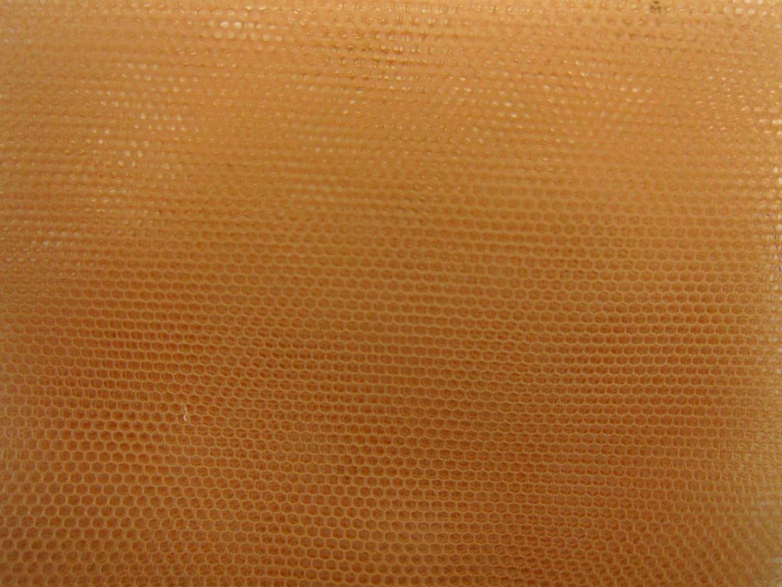 Italian Nylon Tulle in Biscotto0