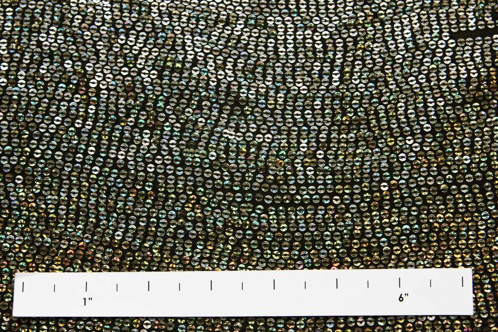 Sequins on Silk Chiffon1