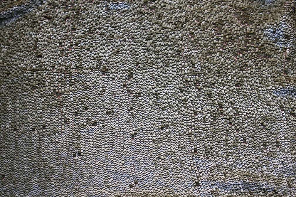 Sequins on Silk Chiffon1
