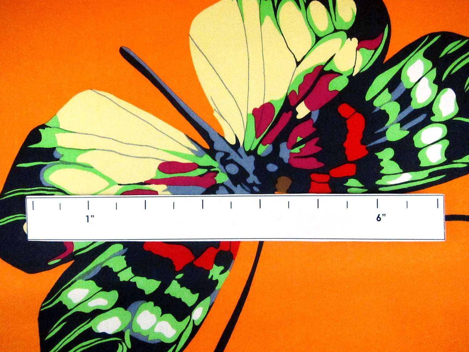 Printed Silk Charmeuse1