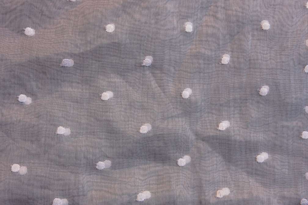 Cotton Embroidered Organdy1